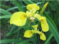 257880ea-martaaa 040.jpg